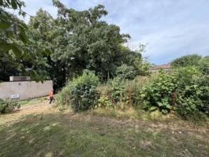 Person wearing an orange safety vest walks along a grassy path beside dense shrubs and a beige wall on the left, with trees behind.