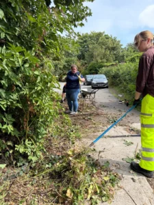 Two people trimming an overgrown hedge along a sidewalk; one wearing high‑visibility pants, using a long blue-handled tool, with a wheelbarrow and debris nearby.